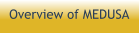 Overview of MEDUSA