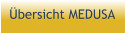Übersicht MEDUSA