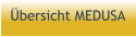 Übersicht MEDUSA
